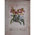 VINTAGE EFFECT - BEAUTIFUL ANTIQUED PRINT OF SLIPPER ORCHIDS IN FABULOUS ORNATE FRAME.