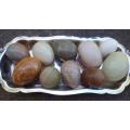 STONE EGGS IN BEAUTIFUL SILVER PLATE BOWL - LOVELY NATURAL HOME DECOR!