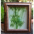 Original oil on canvas signed by Chinese artist - Bamboo in gorgeous ornate frame - fabulous piece!