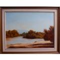 Vintage oil painting by H.Greenaway.  Classic S.African landscape beautifully executed.
