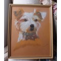 Original art, doggy pawtrait `How much is that doggy in the window` pastels.  Malcolm Miller.