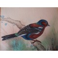 The most exquisite original bird watercolour painting. Signed by the artist.
