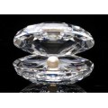 Swarovski Crystal Oyster with Pearl Shell
