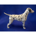 Beswick Dalmatian Dog 1763