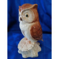 Vintage Cute Owl Moneybox  #