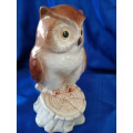 Vintage Cute Owl Moneybox  #