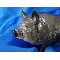 Royal Doulton Grey Vietnamese Pot Belly Pig