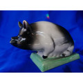 Rye Pottery Black and White Sow Pig Sitting