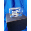 3D Laser Etched Solid Glass Crystal Cube Pig