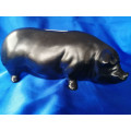 Vintage Chubby Large Black Pig Piggybank Moneybox Moss *