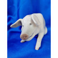 VINTAGE ROYAL COPENHAGEN FIGURINE OF A ` SEATED PIG` NO. 1400 BY ERIK NEILSEN
