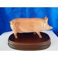 Royal Doulton Tamworth Pig on wooden plinth