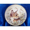 Stunning AJL Gifthouse Cute Tabby Cat Plate