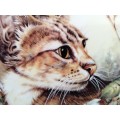 Stunning AJL Gifthouse Cute Tabby Cat Plate