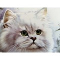 Stunning AJL Gifthouse Cute Long Hair Cat Plate