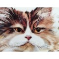 Stunning AJL Gifthouse Cute Long Haired Tabby Cat Plate