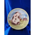 Stunning Pig Piggy Plate for Display