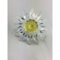 Lovely Swarovski Crystal Clear Yellow Marguerite Daisy Flower  #