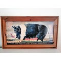 Large Sow / Pig Print on Board Prize Sow 1863 #