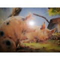 Pig and piglets John hayson print ` Apple Sauce ` framed #