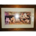 Pig Picture By Jackie Gethin Framed #