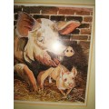 Pig Picture By Jackie Gethin Framed #