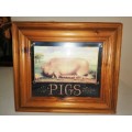 Fat Pig Print in wooden frame #