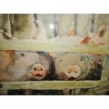 Stunning watercolor Pig Family behind the fence Dorothy Burke #