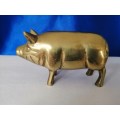 Vintage 1950`s brass pig  #