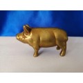 Vintage 1950`s brass pig  #