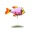 SWAROVSKI CRYSTAL CAMARET FUCHSIA RAIN FISH #626205 BRAND PARADISE crystal Fish South Sea