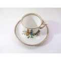 Tuscan Plant Handpainted Art Deco Floral Bone China demitasse Cup and Saucer