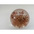 DRIED FLOWERS RESIN BALL PAPERWEIGHT