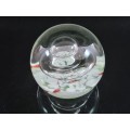 Stunning vibrant detailed  glass paperweight