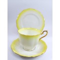 Royal Albert ` RAINBOW ` Yellow Hampton shape Tea Cup Saucer and Plate Fine Bone China England