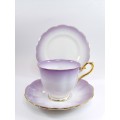 Royal Albert ` RAINBOW ` Lilac Hampton shape Tea Cup Saucer and Plate Fine Bone China England