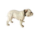 Royal Doulton Standing English Bulldog HN 1074