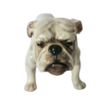 Royal Doulton Standing English Bulldog HN 1074