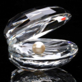 Swarovski Crystal Large Oyster with Pearl Shell