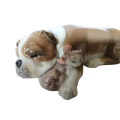 Lladro Unlikely Friends 6417 - Bulldog With Cat - Kitten Sleeping