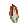 Ardmore Style Love - Art Rabbit Hare Superb Detail