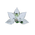 Swarovski Crystal SCS Renewal Orchid Green Stem