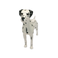 Beswick Arnoldine Dalmatian Matt figure, large size. Model number 961