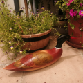 Feathers of Knysna Gallery carved and hand painted XX-Large 60 cm Merganzer Duck 443/975