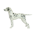 Standing Dalmatian Vintage Porcelain Dog
