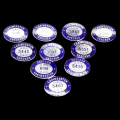 Ten original S.A.R. - S.A.S `Checker` and Laaimeester white metal lapel badges with numbers