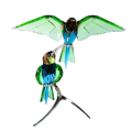 Swarovski Crystal Peridot Beeeaters Bee-eaters Birds Of Paradise