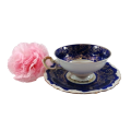 Alka Bavaria Porcelain Blue and Gold Tea Cup and Saucer Duo