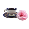 Alka Bavaria Sylvia Porcelain Blue and Gold Tea Cup and Saucer Duo