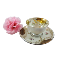 Alka Bavaria Sylvia Porcelain Esquisit Tea Cup and Saucer Duo